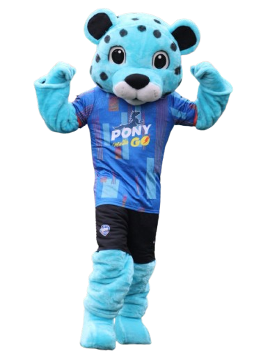 Corporación Inter Mascota Jaggy